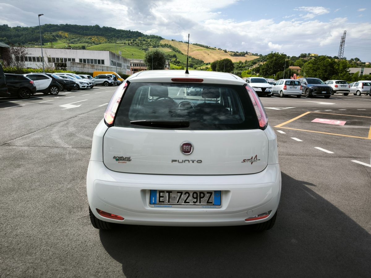 Fiat-Punto-4